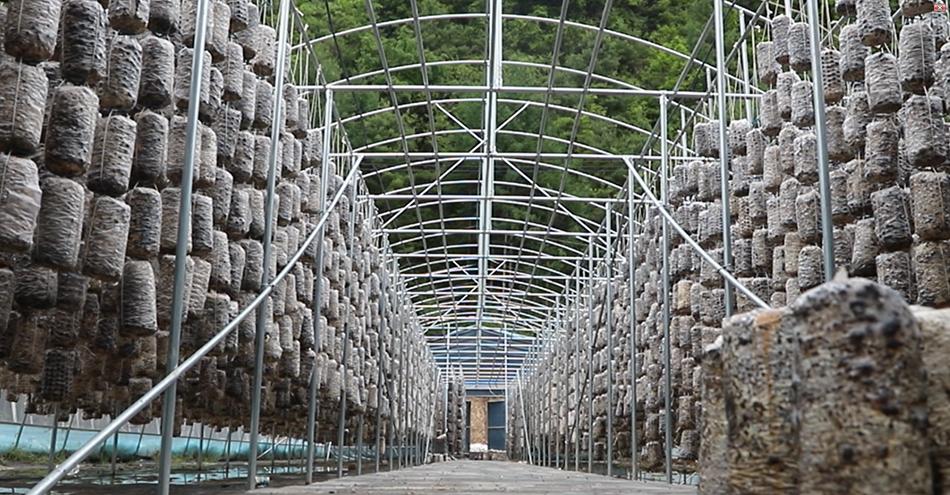 板桥镇发展特色产业助贫困户增收,清水县适合发展种植业的自然条件