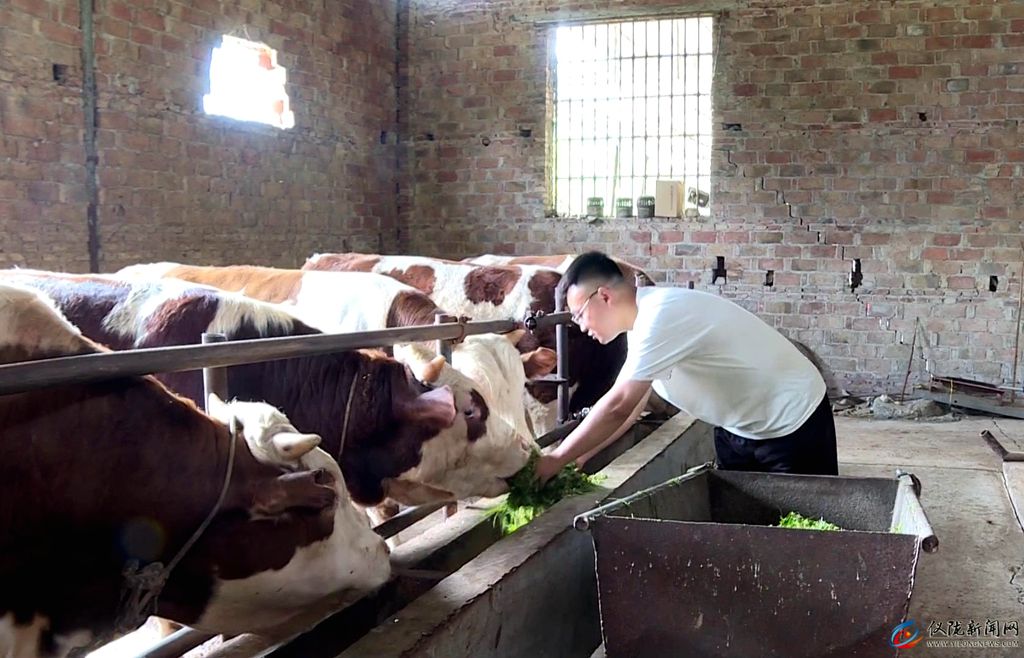 村村有特色产业户户有增收渠道,村有产业户户可增收吗