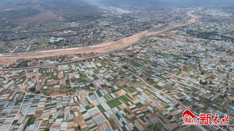 武山蔬菜简介,武山人文历史