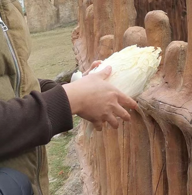 父亲粗糙的手,赞美父亲粗糙的双手