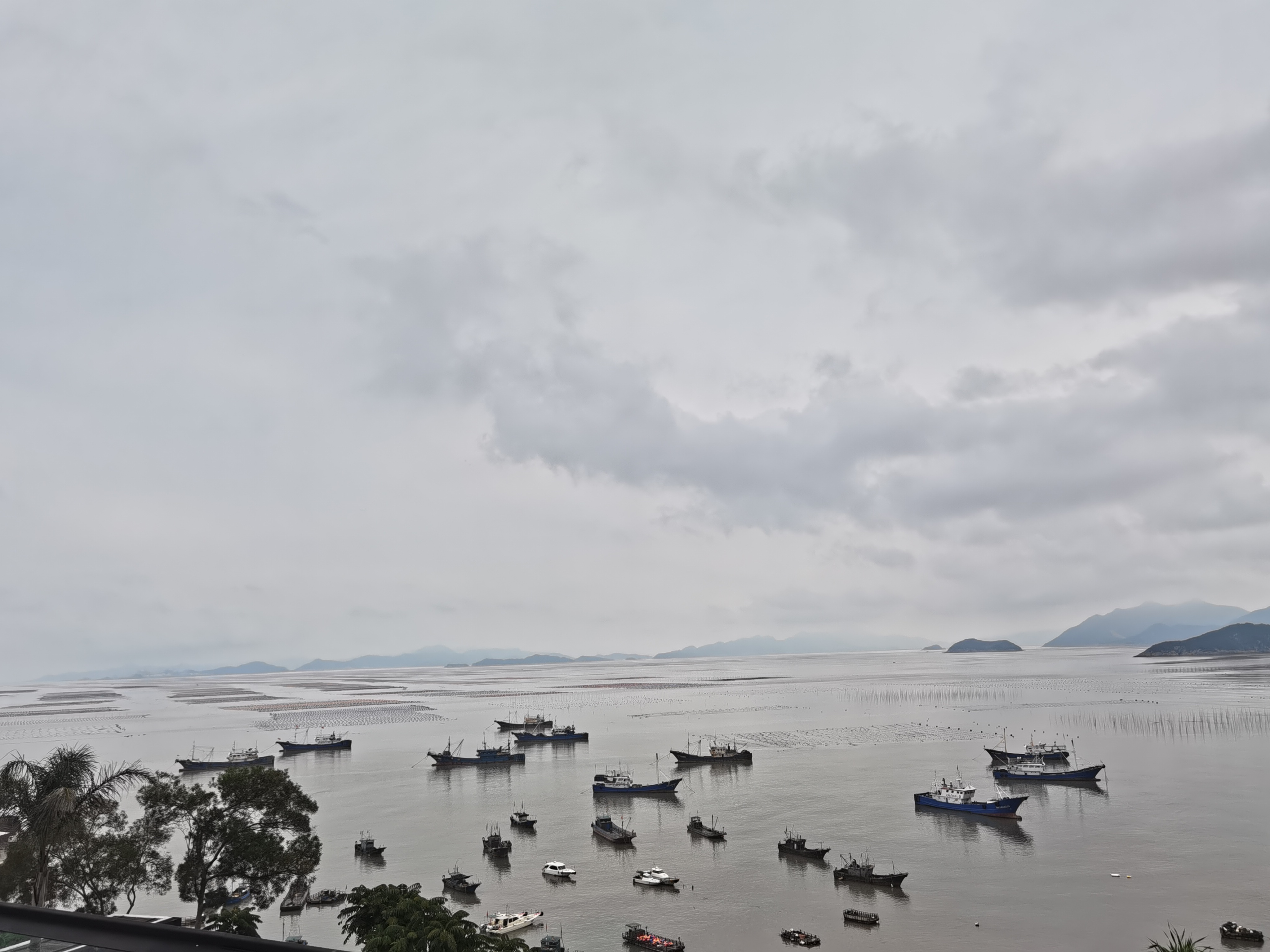 七一客户端全媒体看宁德④|用好“山”与“海”的辩证法