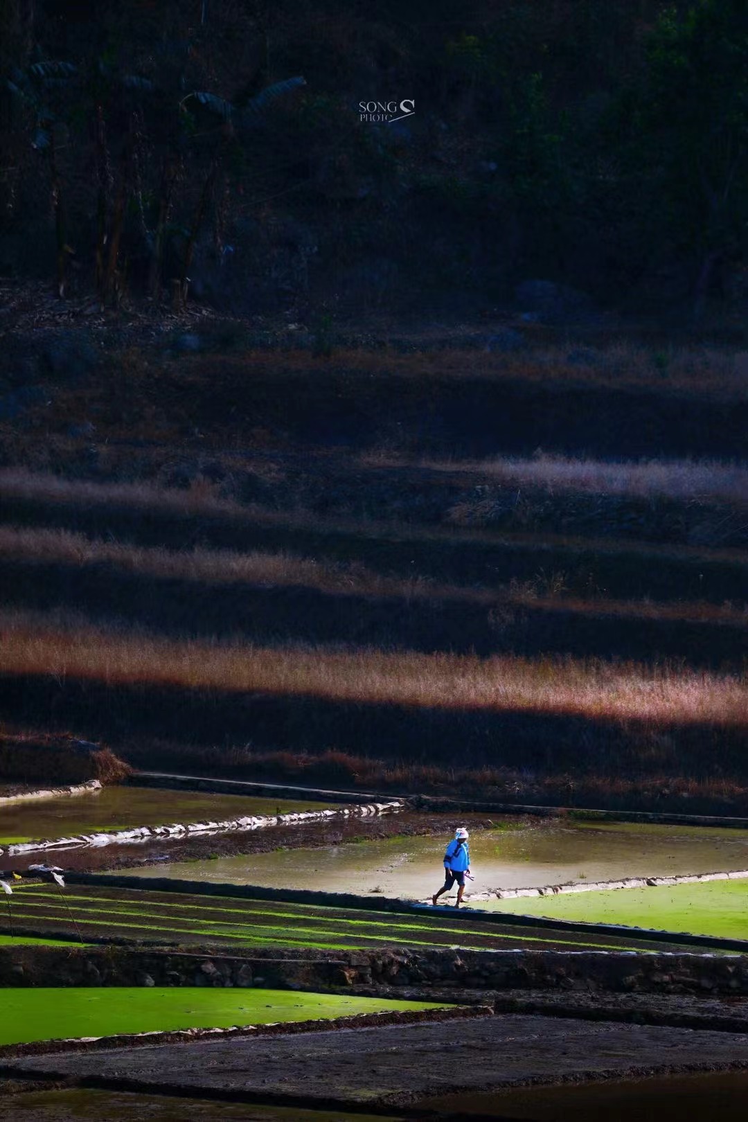 有一种叫云南的生活｜生活在悠然自得的坝美是什么体验？