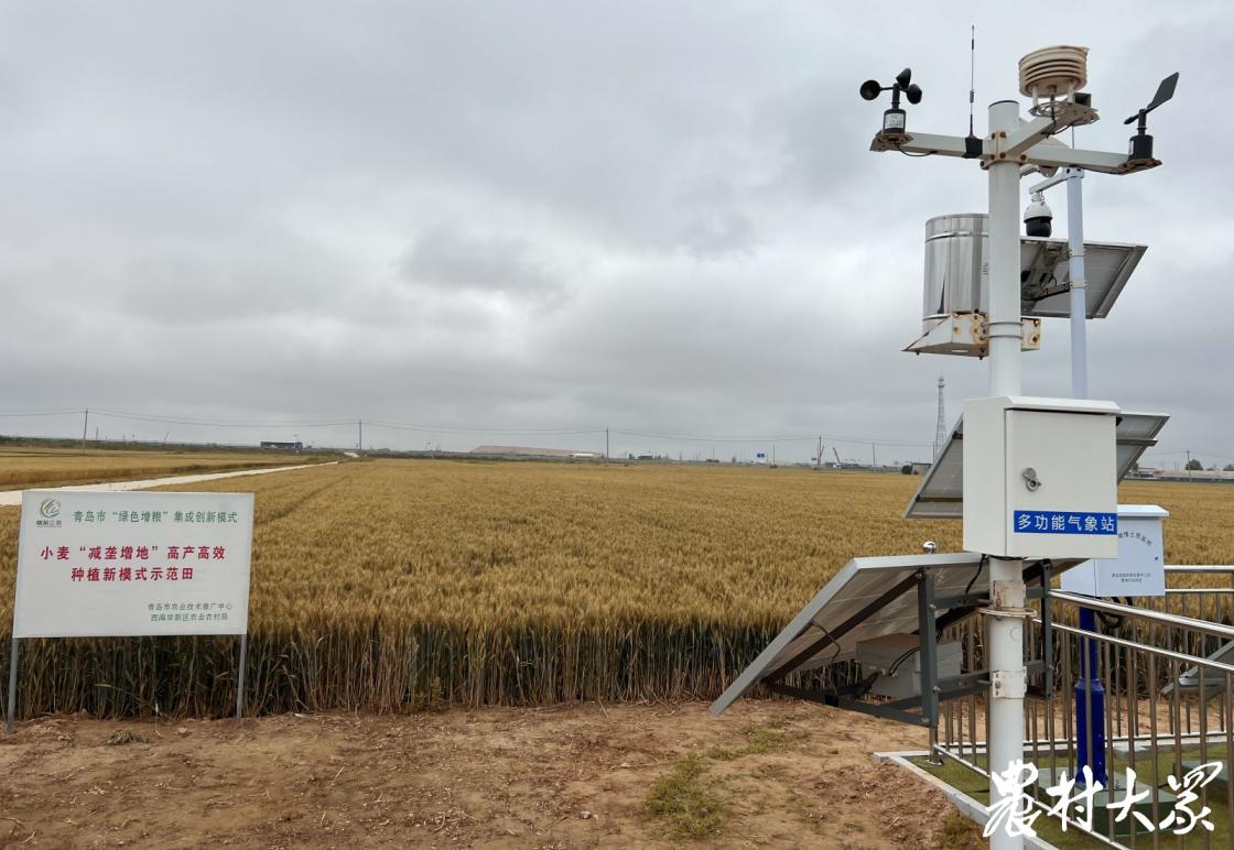 西海岸乡村振兴示范片区,乡村振兴西海岸样板