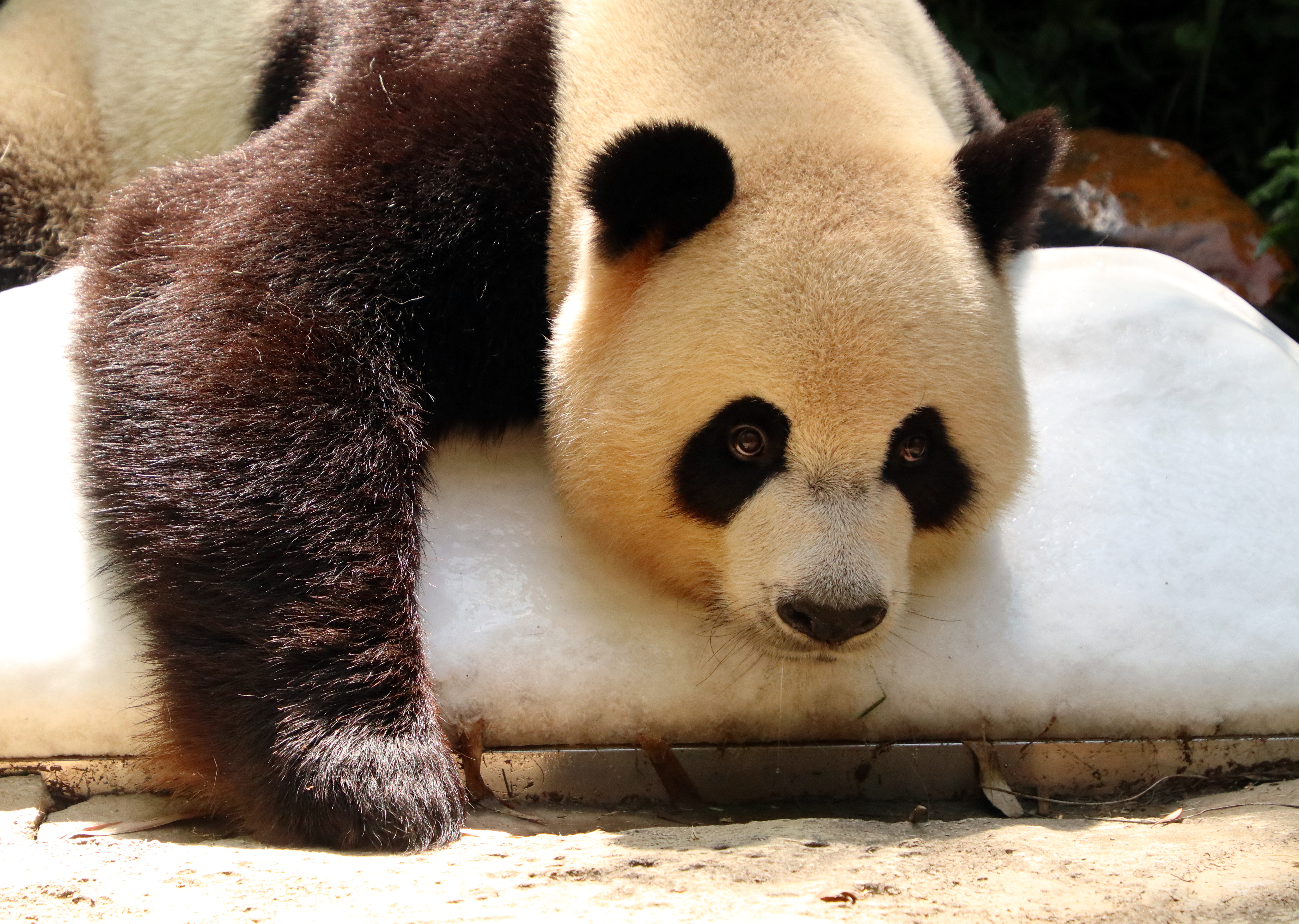 防中暑宝典,消暑降温的注意事项