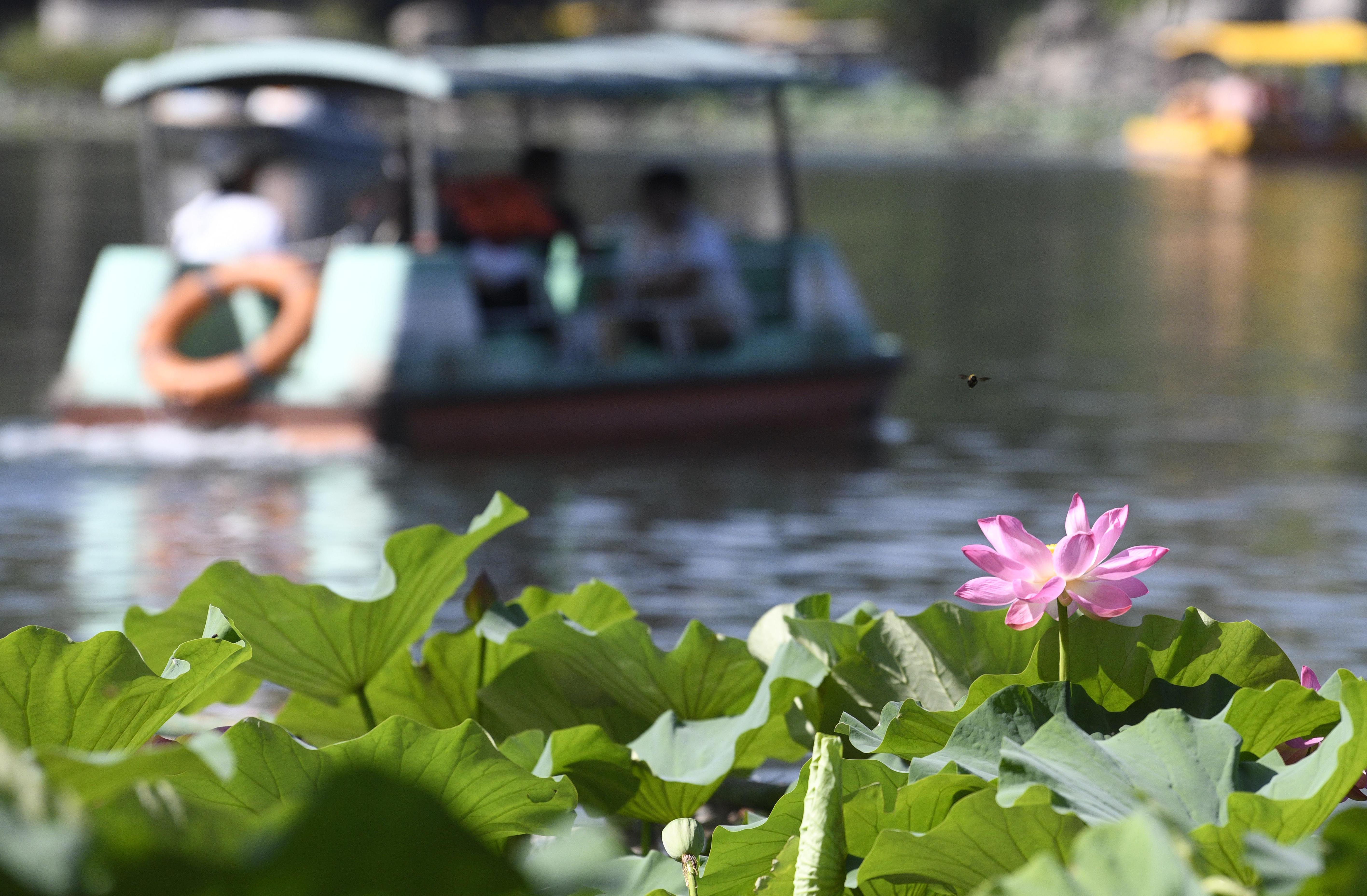 防中暑宝典,高温防中暑宝典