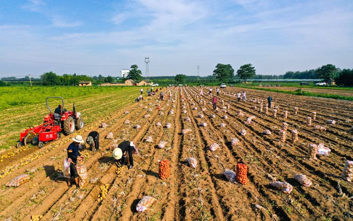 阳城县河道治理工程,阳城县后河巷河道治理