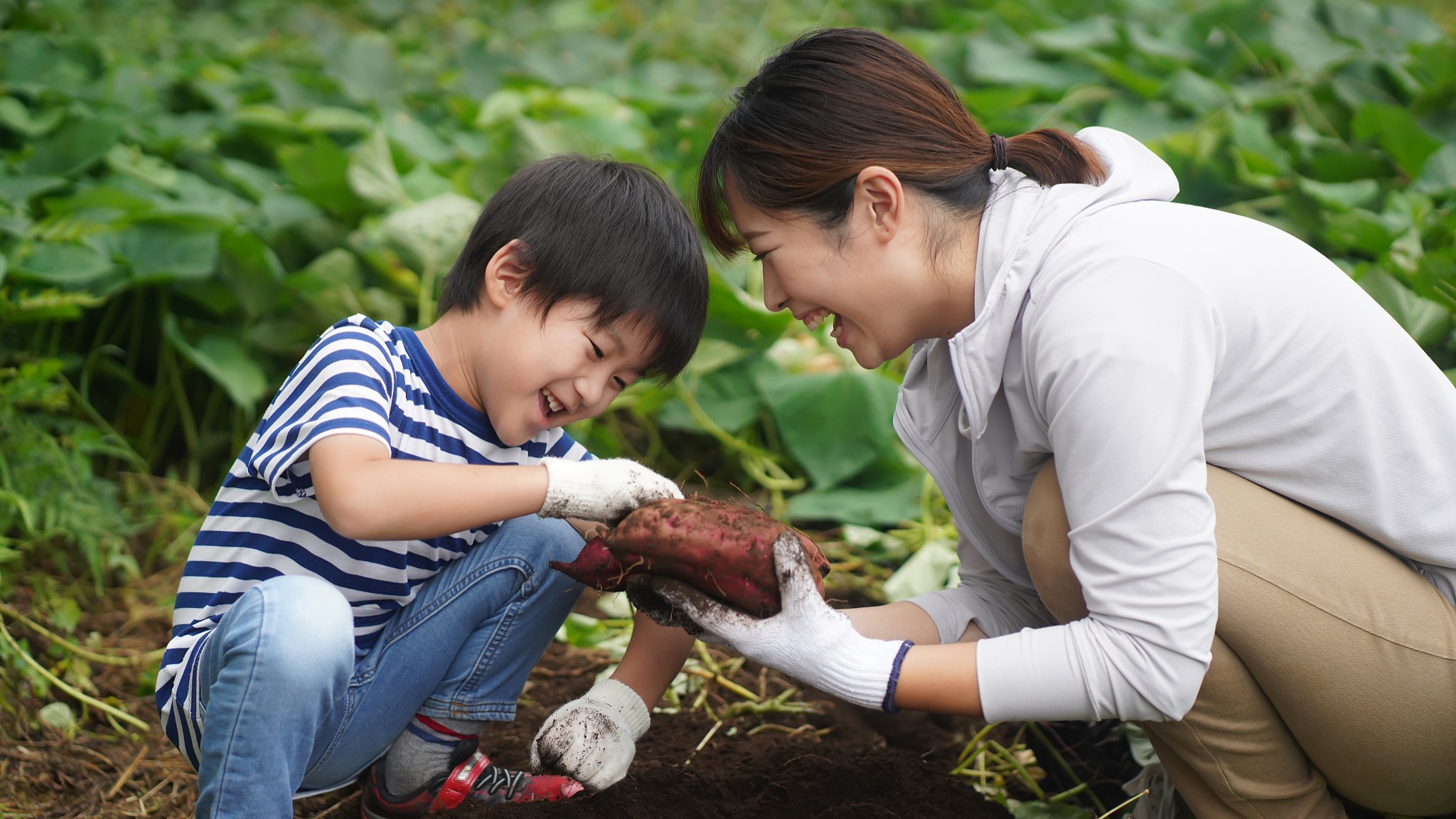 疫后亲子研学经济：4个鲜为人知的秘密