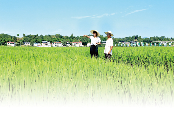 踔厉奋发新征程｜总量连续两年止减回增总面积达到19.14亿亩严守耕地保护红线