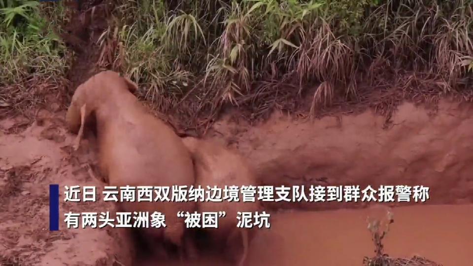 【开屏早知道】热热热！1961年以来历史同期最多！云南“参与度”极高！