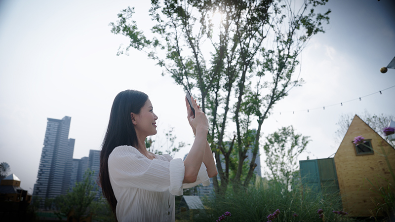 夏季成都短期旅游推荐,重庆和成都夏季旅游哪个更适合