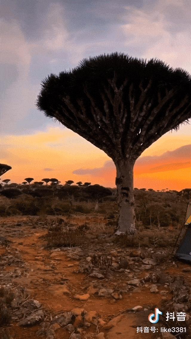 告别考试多年，他们为什么在抖音“重修”地理