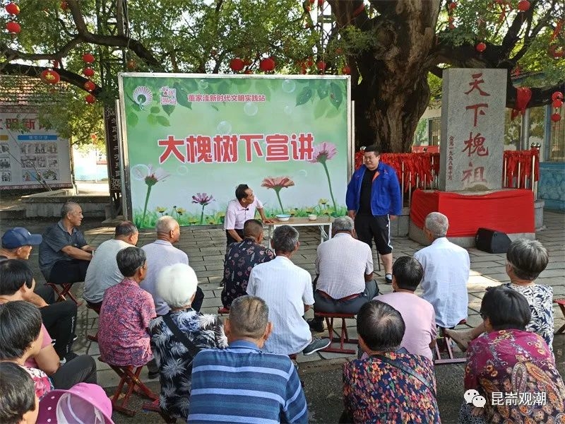 烟台飘来朵朵“蒲公英”