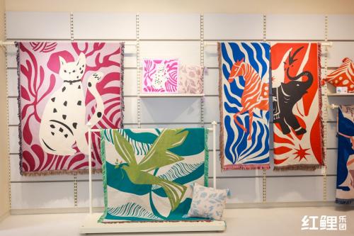 红鲤乐团,红鲤乐团打造百变原创氛围毯