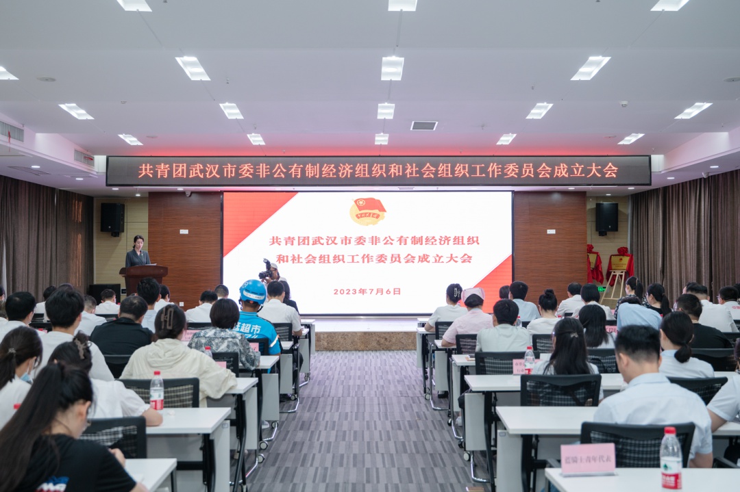 非公经济组织共青团,非公有制经济团工委