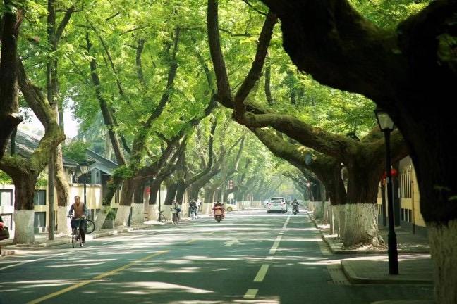 南京文化历史街区,南京的历史文化街区