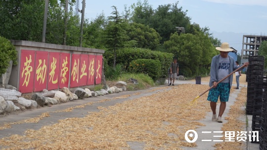 【创业100】黄花菜大产业，大荔黄花集团总经理：力争销售破亿元