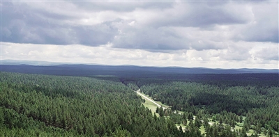 【凝心聚力谋发展且以诗意共远方】绿水描秀色青山作画屏——走进“油画之城”写生地鄂温克族自治旗红花尔基镇