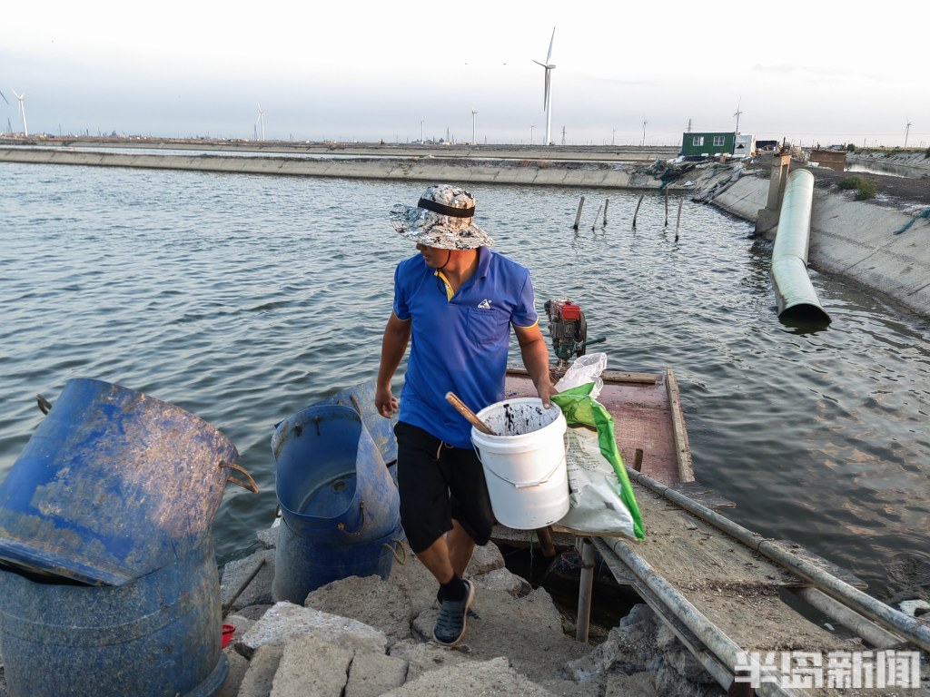 青岛虾农，跨城淘金！2000多位大拿，走南闯北；20多万斤鲜虾，每天从鳌山卫游向全国
