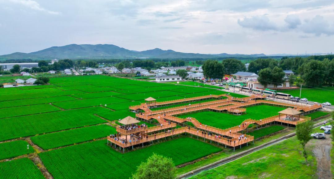 兴安日报｜全国地市百家媒体眼中，岭上兴安石榴花开正艳