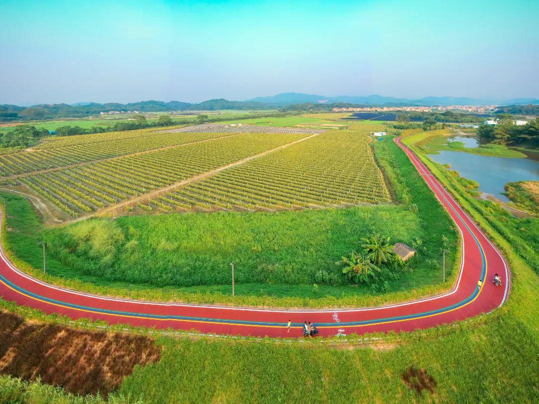 增城好去处一日游,暑假旅游推荐增城