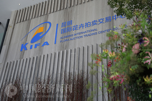 亚洲最大的鲜花交易市场是哪,阿斯米尔鲜花拍卖市场