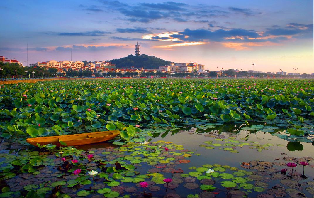 不止“村BA”！东莞10条好看好逛的线路，本地人也爱去