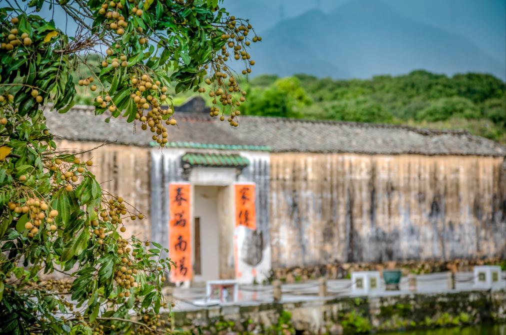 不止“村BA”！东莞10条好看好逛的线路，本地人也爱去