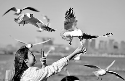 大河泽佑塞上湖城满目新