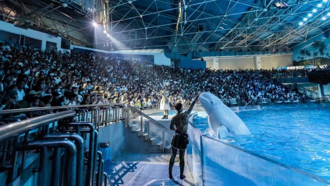 海昌海洋公园出去了还能再进去吗,海昌海洋公园郑州进去不能带什么