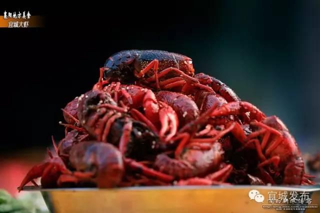 宜城过年气氛,宜城年味