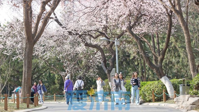 娓歌娉夊煄鍏洯,娉夊煄鍏洯娓歌