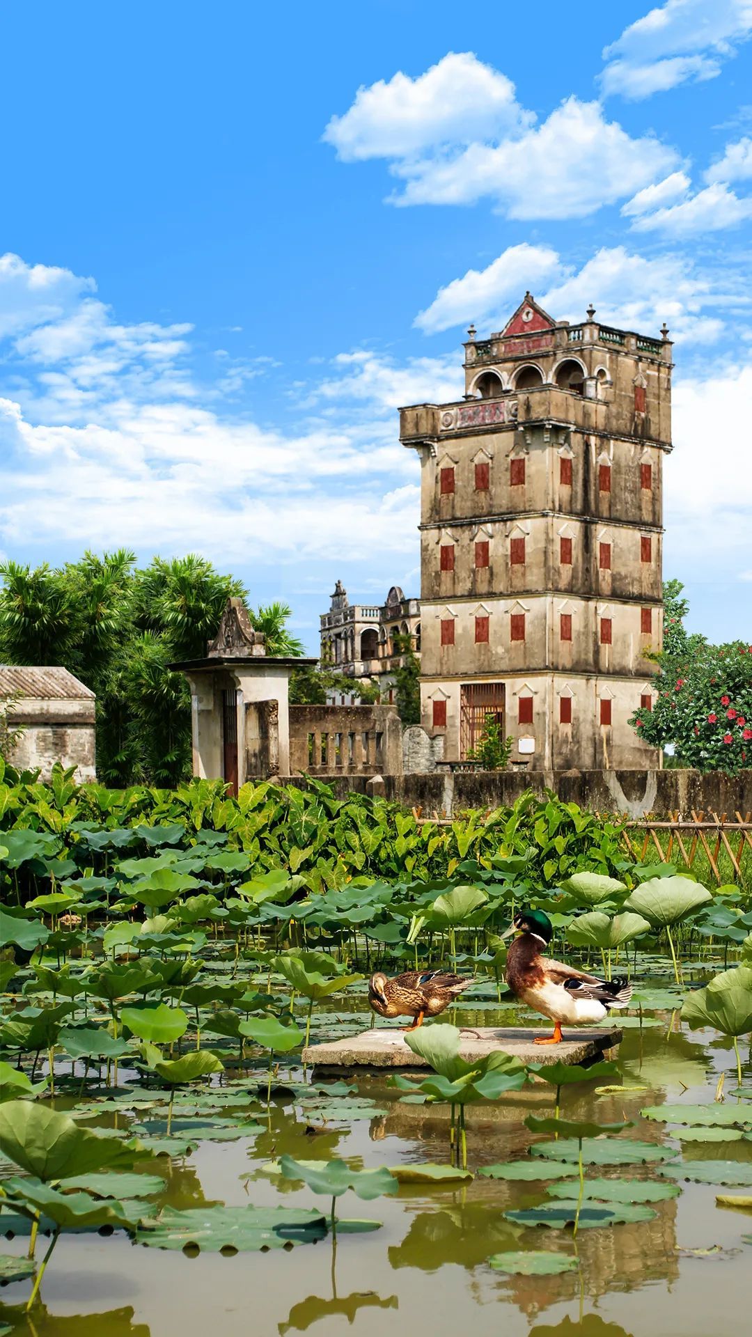 出境游护照丢了怎么办,海外护照丢了如何申请旅行证