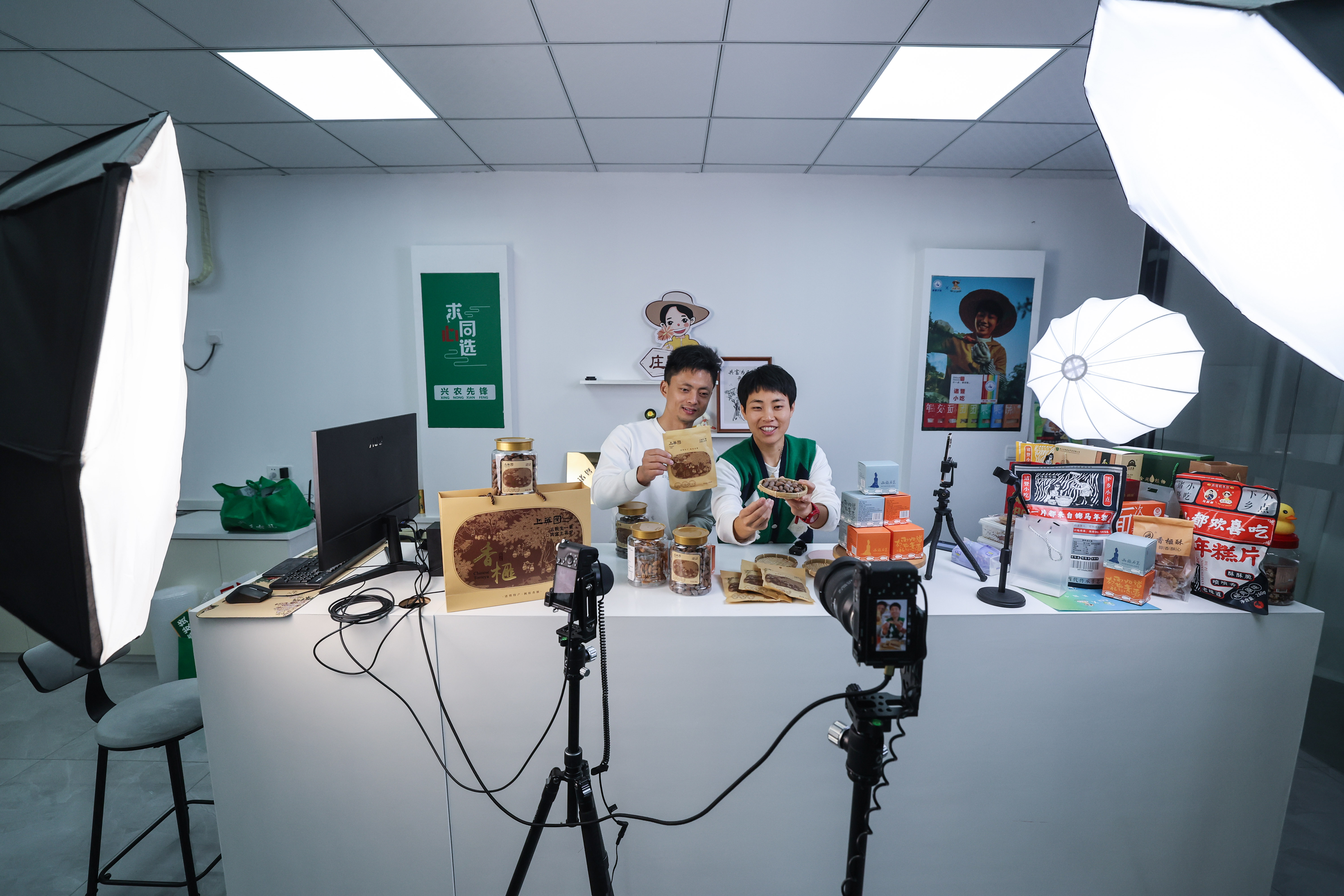 诸暨的香榧子产业,诸暨香榧产业调研亮点