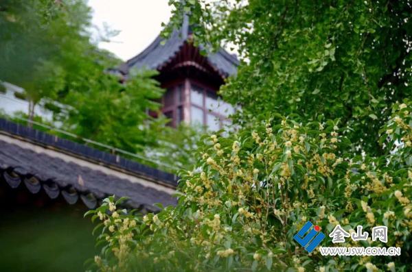 秋日森林美景,秋日漫步览山林美景享夕照静谧