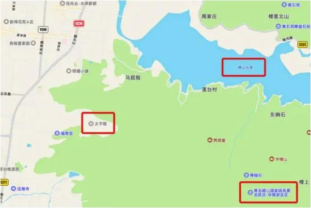 墓地被强占应该怎么处理,被非法侵占山林应怎样要求赔偿