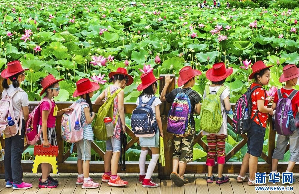 武汉园林绿化发展建议,聚焦质量提升推进高质量发展