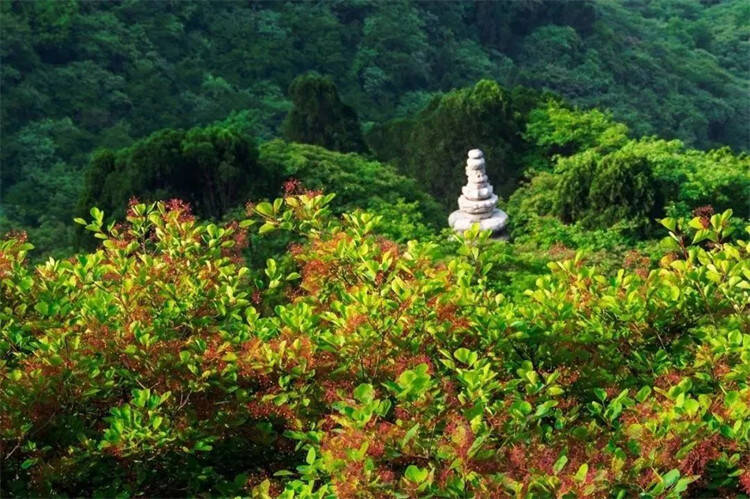上春山河南文旅套票,上春山文旅版购票