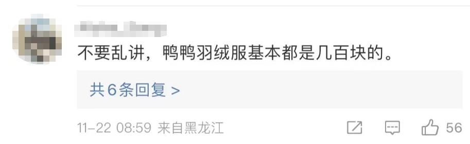 羽绒服7000元国产,羽绒服7000元打折后499元