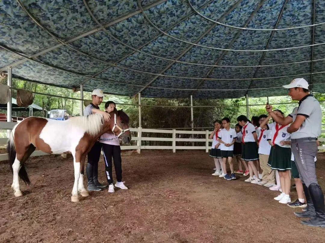 武汉蔡甸五贤路后官湖湿地公园,武汉后官湖湿地公园免费