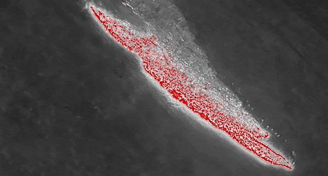 筑牢森林消防安全防火墙,筑牢森林防火安全防线