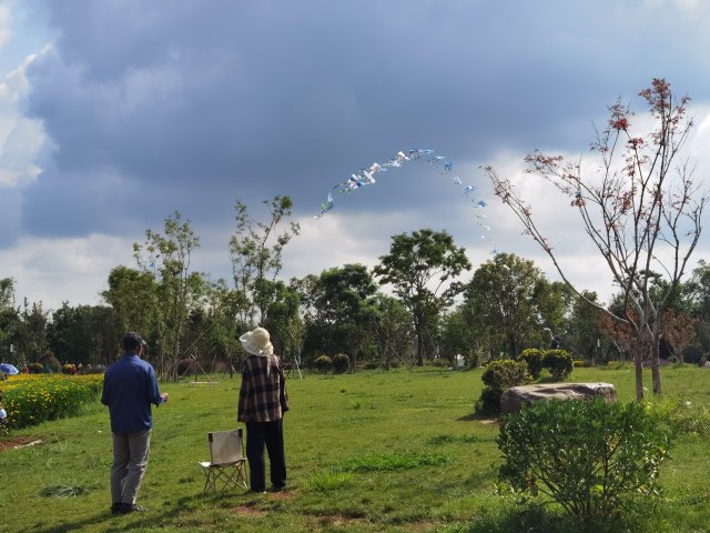 春城晚报生活节,春城晚报开屏新闻生活节