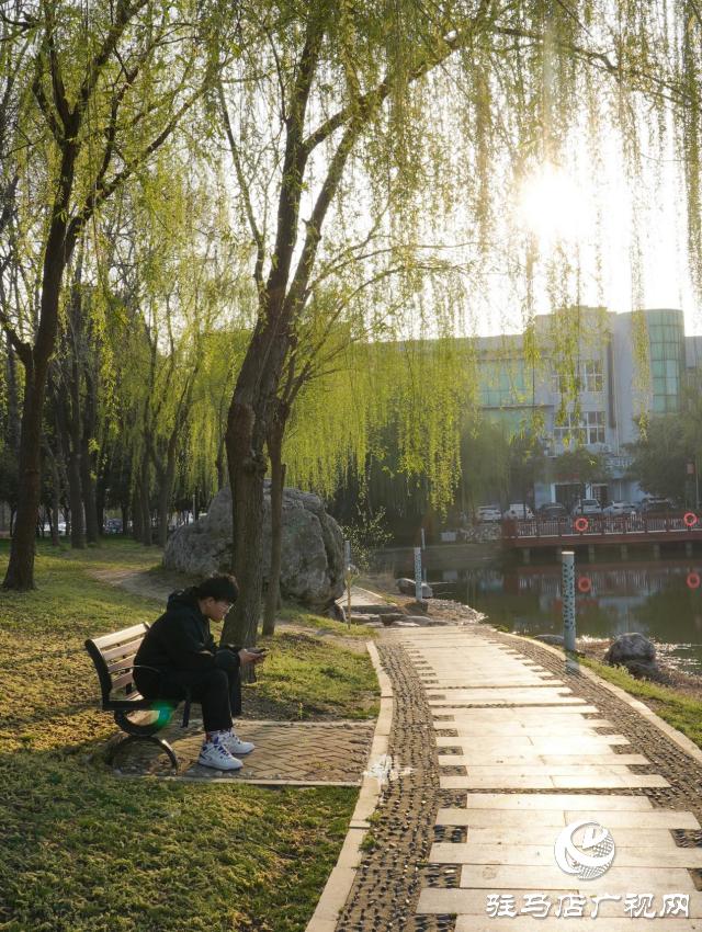 黄淮学院的春天,美丽的黄淮学院