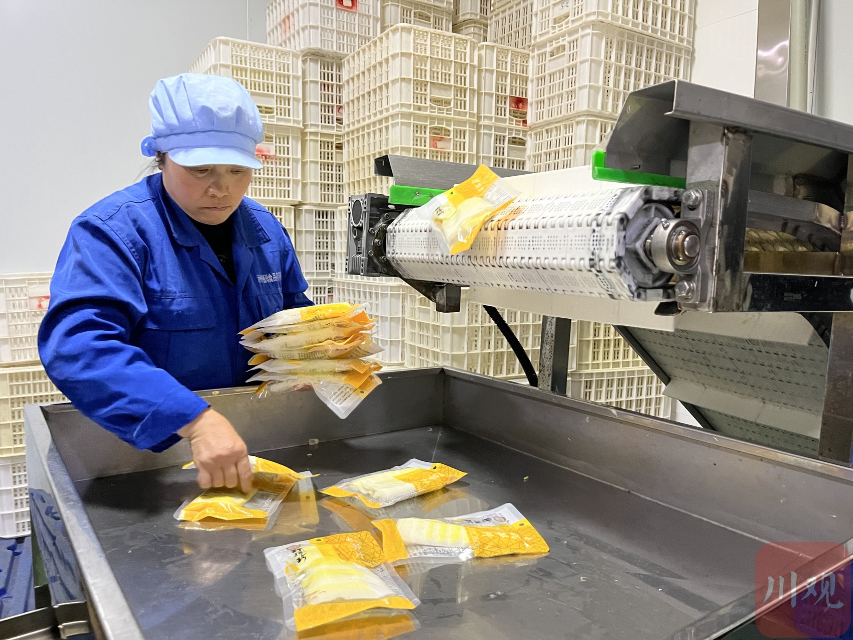 东西部扶贫协作农业产业合作方案,东西部协作扶贫项目