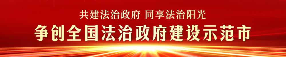 项目变企业的“至美速度”