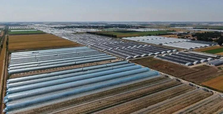 青岛入围农业500强,青岛市的农业类龙头企业