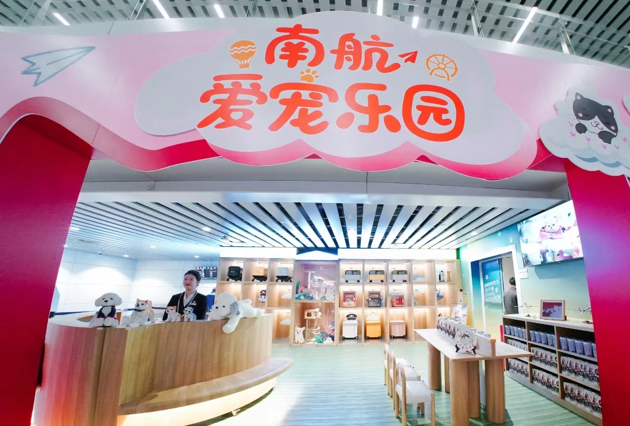 南航单独托运宠物怎么领取,南航宠物