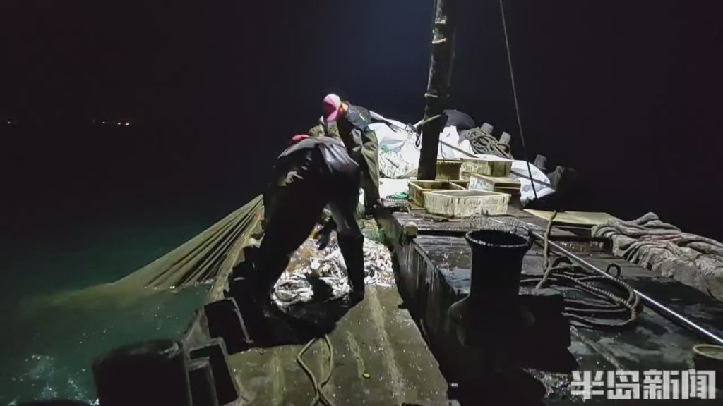 青岛开海渔船出海视频,青岛小港渔船出海