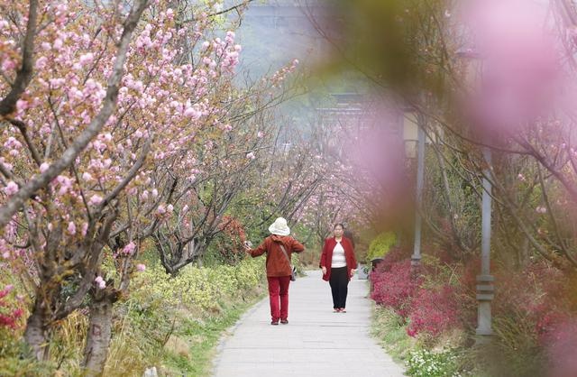 贵阳乌当有草坪的公园,贵阳市乌当区鲜花